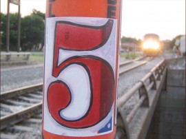 5 Train